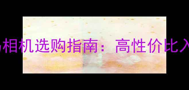 图片 2500元档数码相机选购指南：高性价比入门级设备全1