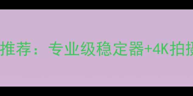 图片 一体式手持云台相机推荐：专业级稳定器+4K拍摄全（附选购指南）1