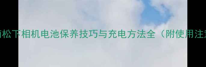 图片 专业指南松下相机电池保养技巧与充电方法全（附使用注意事项）