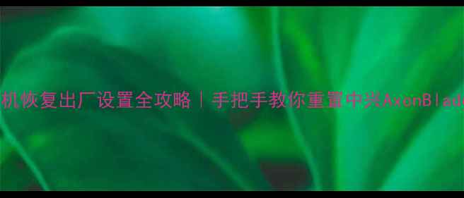 图片 中兴手机恢复出厂设置全攻略｜手把手教你重置中兴AxonBlade系列1