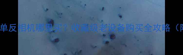 图片 二手海鸥DF-1单反相机哪里买？收藏级老设备购买全攻略（附价格分析）1