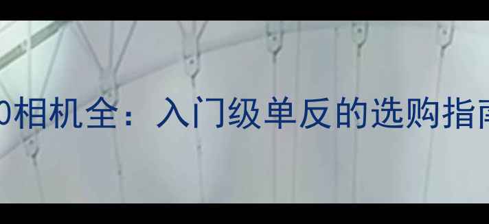 图片 佳能EOSA2600相机全：入门级单反的选购指南与使用技巧