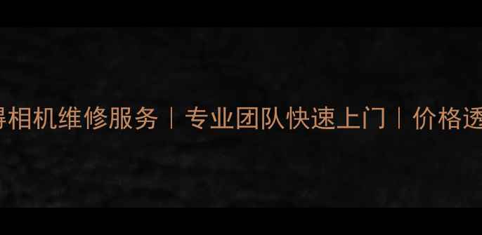 图片 北京宾得相机维修服务｜专业团队快速上门｜价格透明优惠1