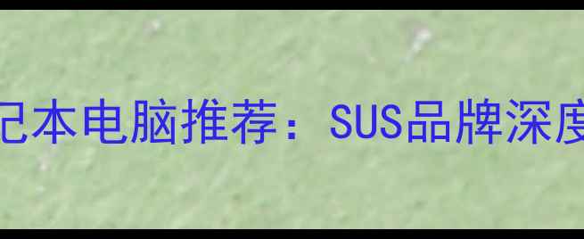 图片 十大高性价比笔记本电脑推荐：SUS品牌深度测评与选购指南