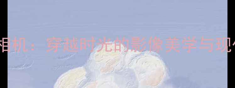 图片 夏至未至中的复古相机：穿越时光的影像美学与现代数码摄影的碰撞2