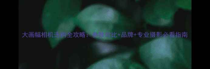 图片 大画幅相机选购全攻略：参数对比+品牌+专业摄影必看指南