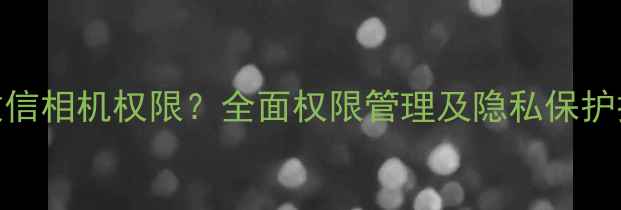图片 如何正确设置iOS微信相机权限？全面权限管理及隐私保护技巧（最新指南）2