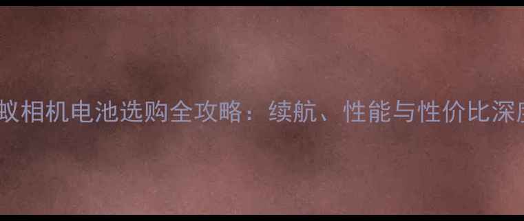 图片 小蚁相机电池选购全攻略：续航、性能与性价比深度1
