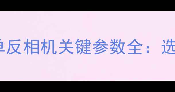 图片 微单相机与单反相机关键参数全：选购避坑指南2