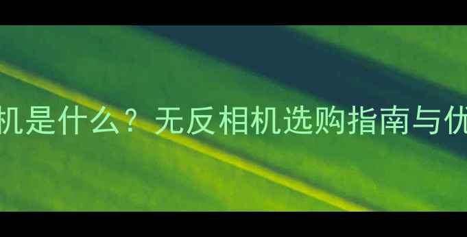 图片 微单相机是什么？无反相机选购指南与优缺点全