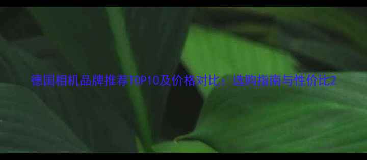 图片 德国相机品牌推荐TOP10及价格对比：选购指南与性价比2