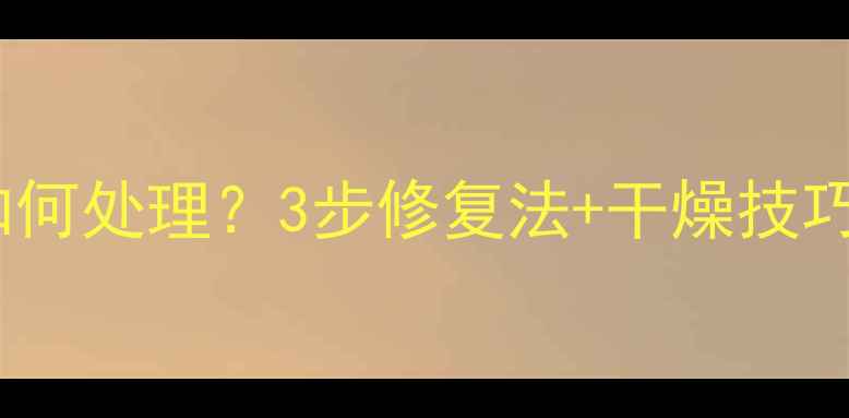 图片 手机充电器进水后如何处理？3步修复法+干燥技巧，不损坏手机电池2