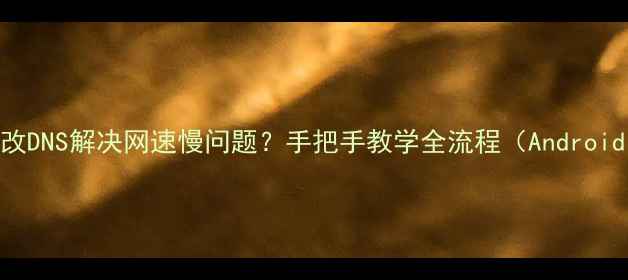图片 手机如何修改DNS解决网速慢问题？手把手教学全流程（AndroidiOS通用）2