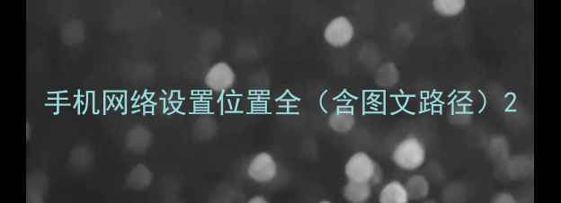 图片 手机网络设置位置全（含图文路径）2