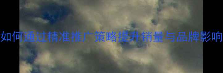图片 手机营销新趋势：如何通过精准推广策略提升销量与品牌影响力（附实操案例）