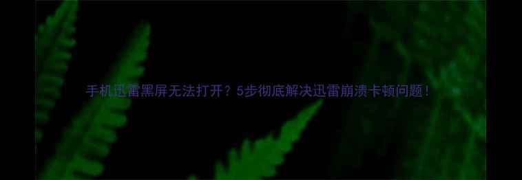 图片 手机迅雷黑屏无法打开？5步彻底解决迅雷崩溃卡顿问题！