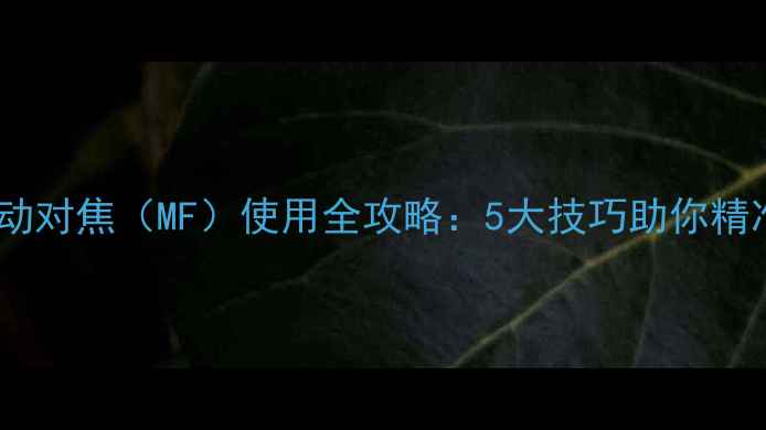 图片 数码摄影必备！相机手动对焦（MF）使用全攻略：5大技巧助你精准捕捉每一帧艺术瞬间2