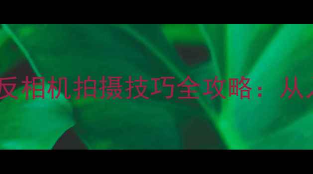 图片 新手必看！手机微单单反相机拍摄技巧全攻略：从入门到大师的进阶指南2