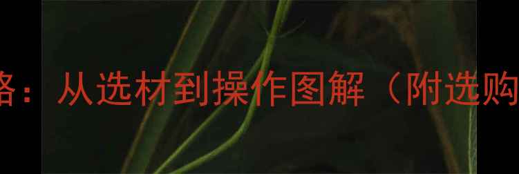 图片 显卡硅脂涂抹全攻略：从选材到操作图解（附选购指南和避坑技巧）1