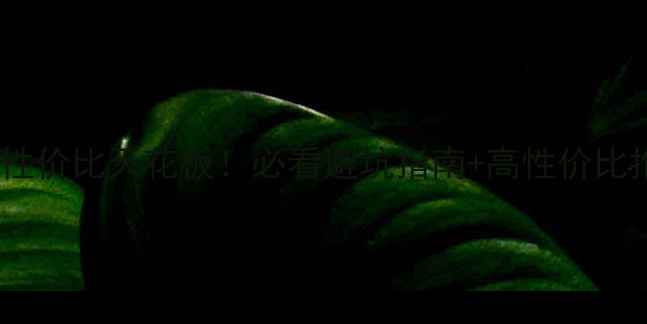 图片 显卡风扇性价比天花板！必看避坑指南+高性价比推荐清单1