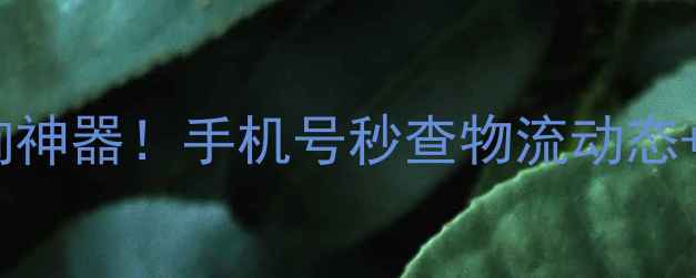图片 最新快递查询神器！手机号秒查物流动态+防丢件攻略2