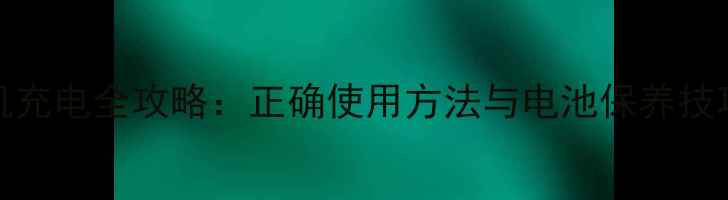 图片 松下Lumix系列相机充电全攻略：正确使用方法与电池保养技巧（附图文教程）1