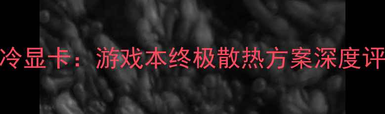 图片 海神一体式水冷显卡：游戏本终极散热方案深度评测与选购指南