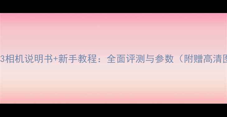 图片 海鸥203相机说明书+新手教程：全面评测与参数（附赠高清图解）2