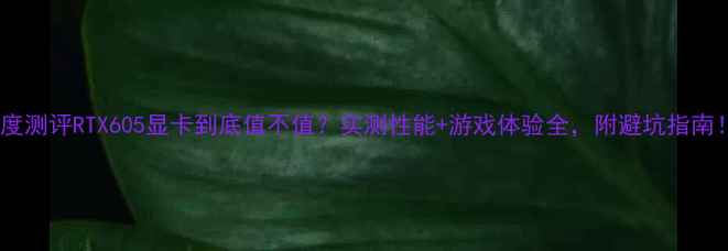 图片 深度测评RTX605显卡到底值不值？实测性能+游戏体验全，附避坑指南！2