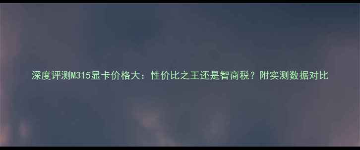 图片 深度评测M315显卡价格大：性价比之王还是智商税？附实测数据对比
