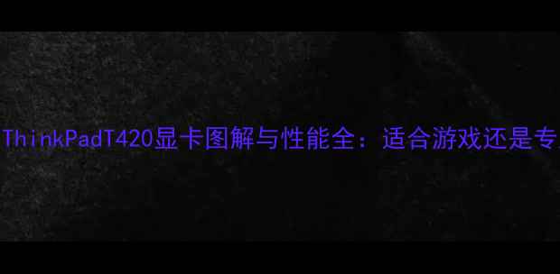 图片 深度评测ThinkPadT420显卡图解与性能全：适合游戏还是专业设计？