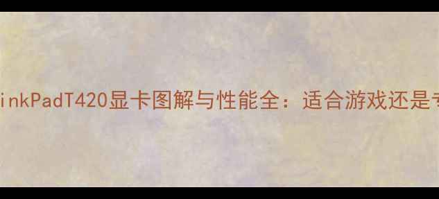 图片 深度评测ThinkPadT420显卡图解与性能全：适合游戏还是专业设计？1