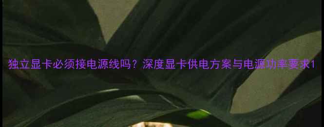 图片 独立显卡必须接电源线吗？深度显卡供电方案与电源功率要求1