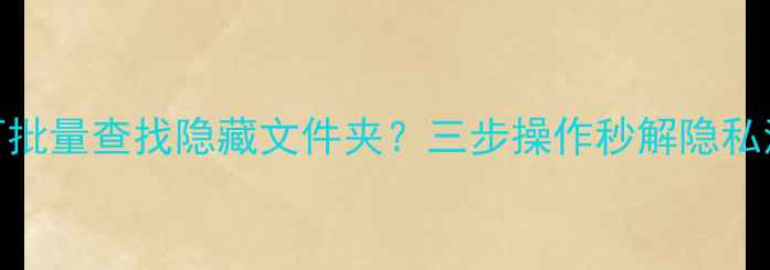 图片 电脑如何批量查找隐藏文件夹？三步操作秒解隐私清理难题