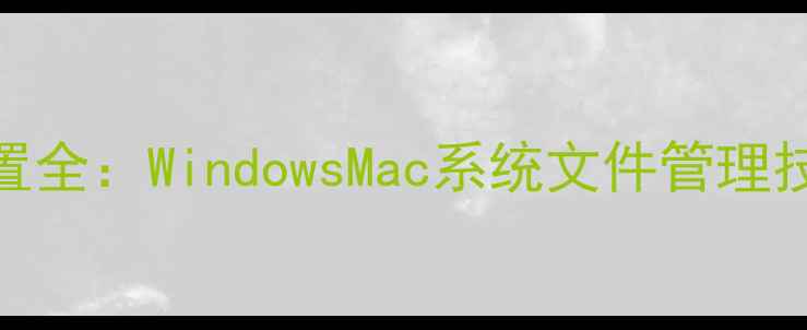 图片 电脑文件保存位置全：WindowsMac系统文件管理技巧与云存储方案