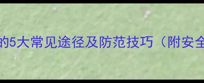 图片 电脑病毒入侵的5大常见途径及防范技巧（附安全防护全攻略）
