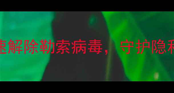 图片 电脑被远程控制怎么办？5步快速解除勒索病毒，守护隐私安全（附WindowsMac全攻略）1
