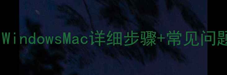 图片 电脑连接WiFi全攻略：WindowsMac详细步骤+常见问题解决（附图文教程）2