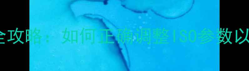 图片 相机感光度设置全攻略：如何正确调整ISO参数以提升成像质量？2