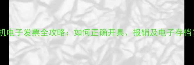 图片 相机电子发票全攻略：如何正确开具、报销及电子存档？1