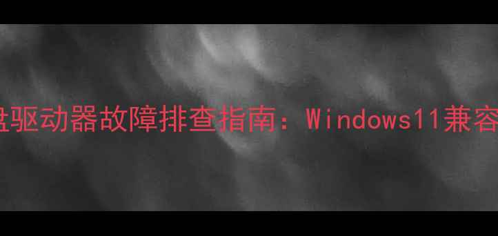 图片 笔记本电脑读盘驱动器故障排查指南：Windows11兼容性及修复技巧1