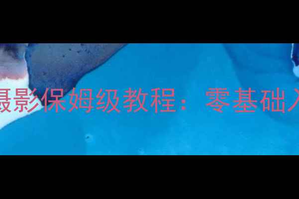 图片 索尼相机拍延时摄影保姆级教程：零基础入门到专业输出全
