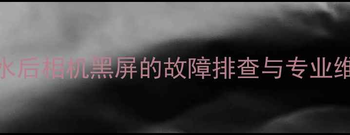 图片 苹果6进水后相机黑屏的故障排查与专业维修指南1