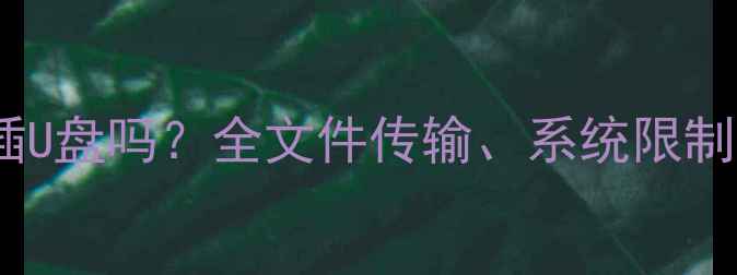 图片 苹果iPad能插U盘吗？全文件传输、系统限制与实用技巧2
