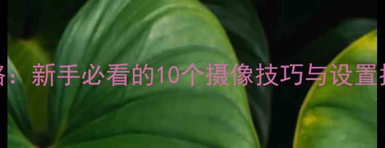 图片 苹果手机摄影全攻略：新手必看的10个摄像技巧与设置指南（附实战案例）