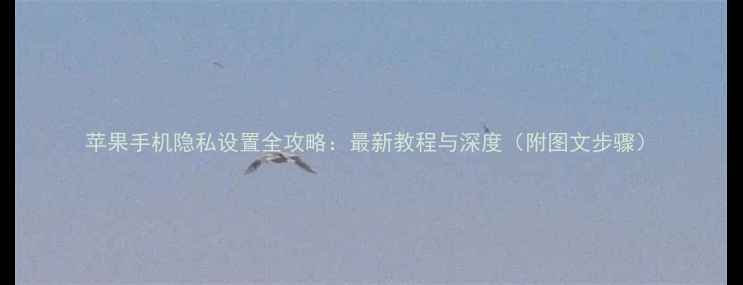 图片 苹果手机隐私设置全攻略：最新教程与深度（附图文步骤）