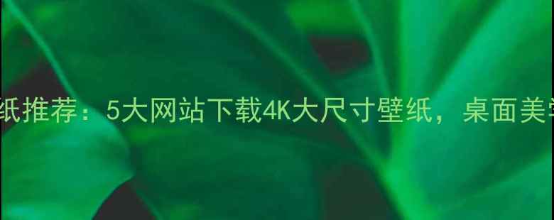 图片 超清电脑壁纸推荐：5大网站下载4K大尺寸壁纸，桌面美学升级指南2
