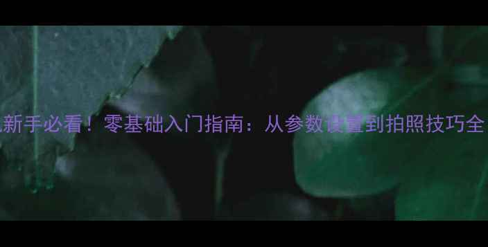 图片 超群相机新手必看！零基础入门指南：从参数设置到拍照技巧全｜最新版