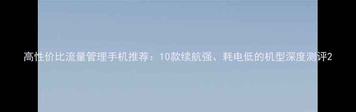 图片 高性价比流量管理手机推荐：10款续航强、耗电低的机型深度测评2