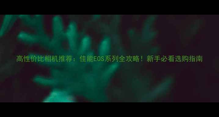 图片 高性价比相机推荐：佳能EOS系列全攻略！新手必看选购指南